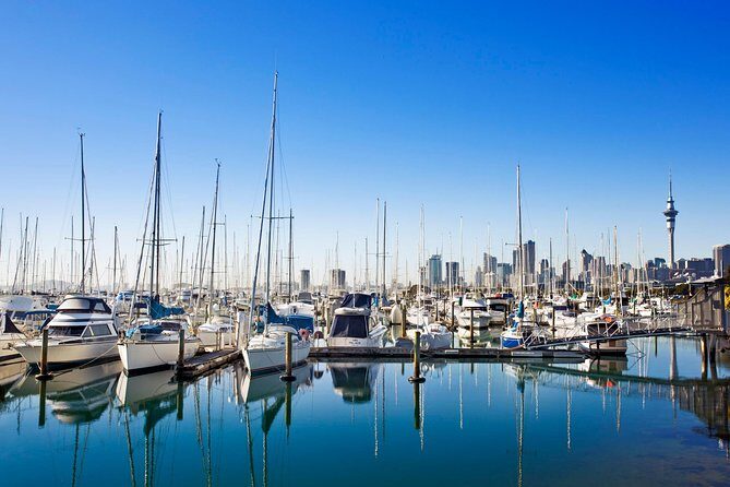 Private Tour: Auckland City and Countryside Tour - Who Will Love This Tour?