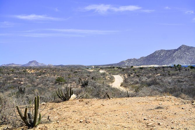 Private Tour Baja Jeep 4x4 Adventure at Los Cabos - Frequently Asked Questions