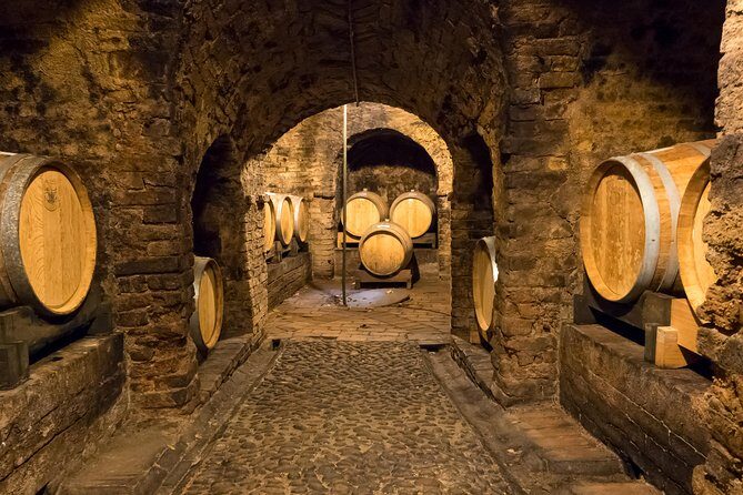 Private Tour: Barolo Wine Tasting in Langhe area from Torino - What We Loved About This Tour