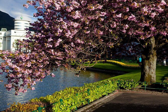 PRIVATE TOUR: Bergen city sightseeing, 3 hours - The Sum Up