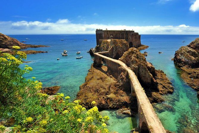 Private Tour: Berlenga Grande Island Day Trip from Lisbon - Practical Details and What to Expect