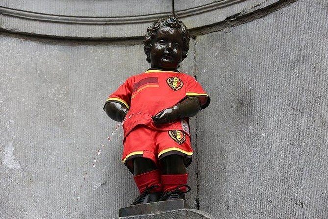 Private tour : Best of Brussels Half Day From Brussels - FAQ