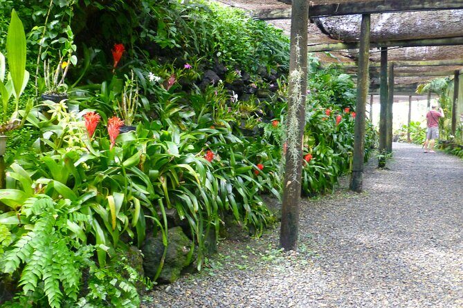 Private Tour: Best of Nadi Highlights - Final Thoughts