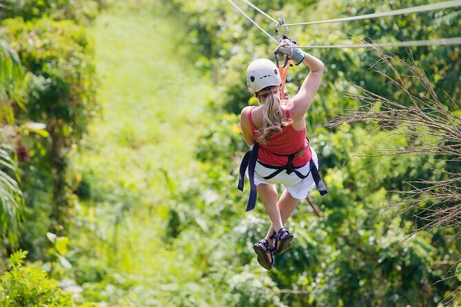 Private Tour Big Island Zipline over KoleKole Falls - Key Points