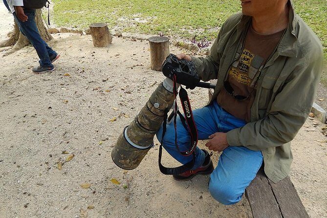 Private Tour: Birdwatching Cozumel Island - Final Thoughts