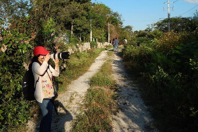 Private Tour: Birdwatching Cozumel Island - FAQ
