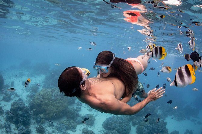 Private Tour: Bora Bora Lagoon Eco Snorkel Cruise - 3hrs or 6hrs - The Practical Side