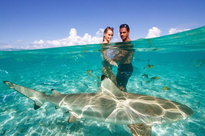 Private Tour: Bora Bora Lagoon Eco Snorkel Cruise - 3hrs or 6hrs - Who Should Consider This Tour?