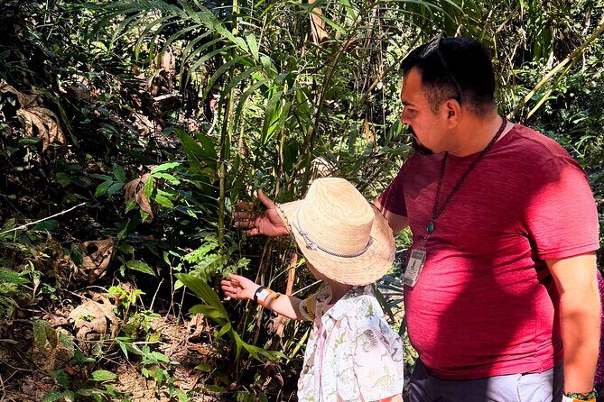 Private Tour: Botanical Garden, Petroglyphs & Mexican Food - FAQs