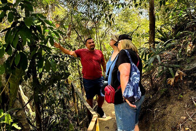 Private Tour: Botanical Garden, Petroglyphs & Mexican Food - Wrapping It Up: Who Is This Tour For?