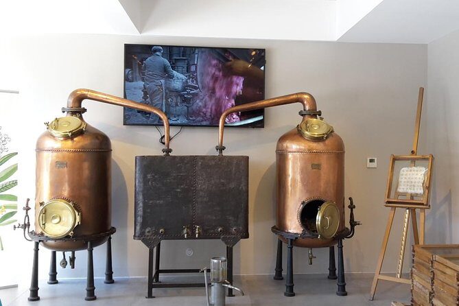 Private tour by private car: Grasse, Cannes, Antibes - What Travelers Say