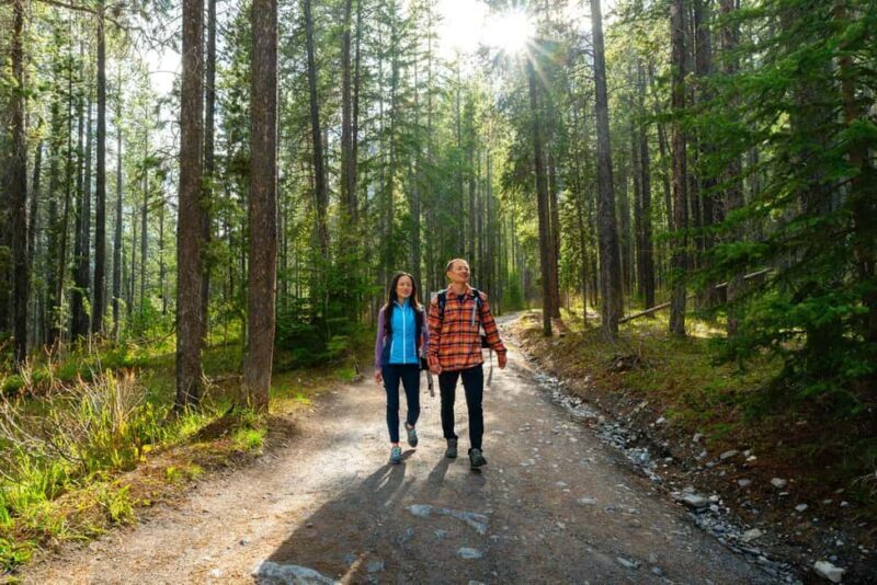 Private Tour: Canmore 2-Hour Guided Nature Walk - Key Points