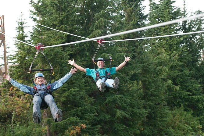 Private Tour: Capilano Suspension Bridge and Grouse Mountain - The Value of the Experience