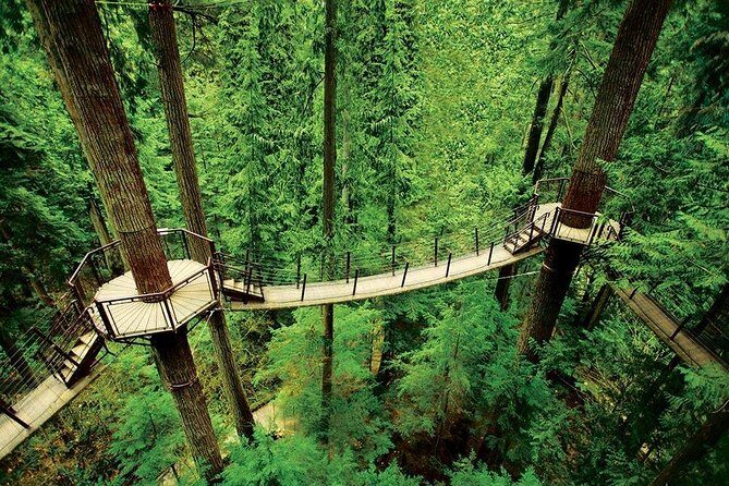 Private Tour: Capilano Suspension Bridge and Grouse Mountain - Who Is This Tour For?