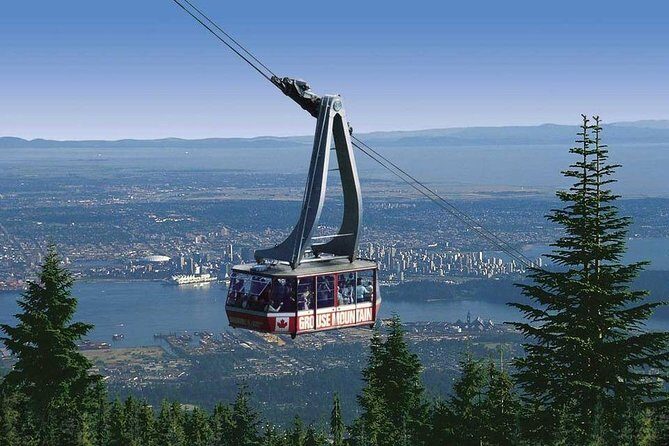 Private Tour: Capilano Suspension Bridge and Grouse Mountain - Wrapping It Up