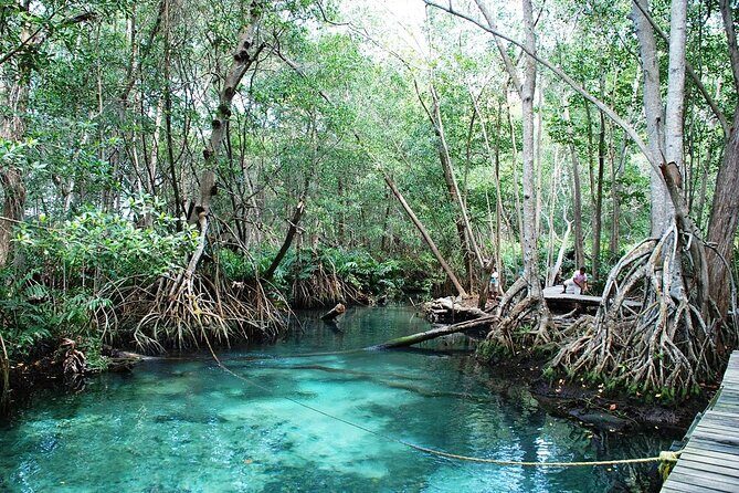 Private Tour: Celestun Biosphere Reserve by Yucatan Concierge - Who Should Consider This Tour?