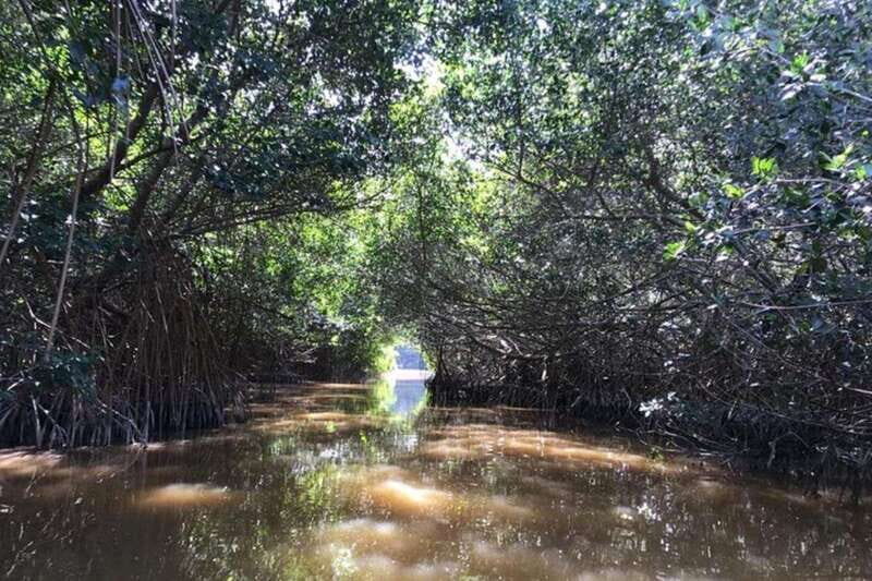 Private Tour Celestun Flamingo Watching and Beach - Flamingo Watching & Bird Island