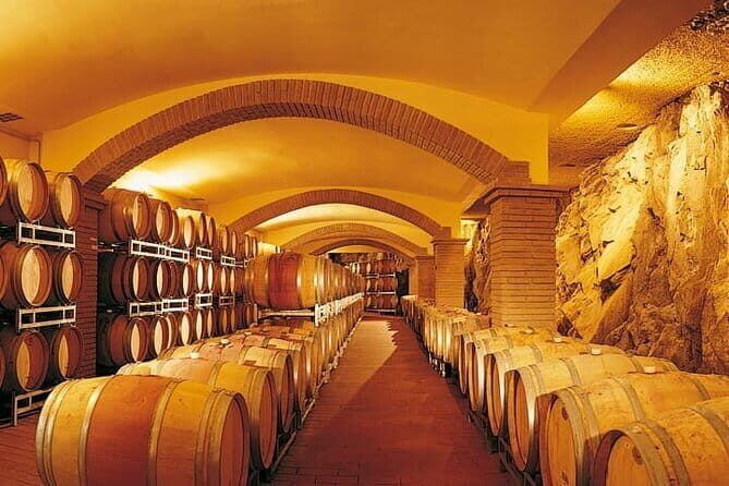 Private Tour: Chianti Winery, Montefioralle, and Greve in Chianti - The Practicalities: What You Should Know