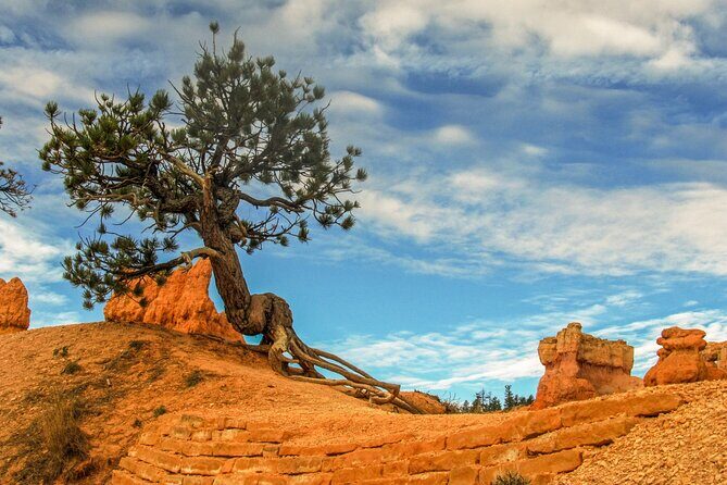 Private Tour Colorado Plateau from Sedona - What We Like About This Tour