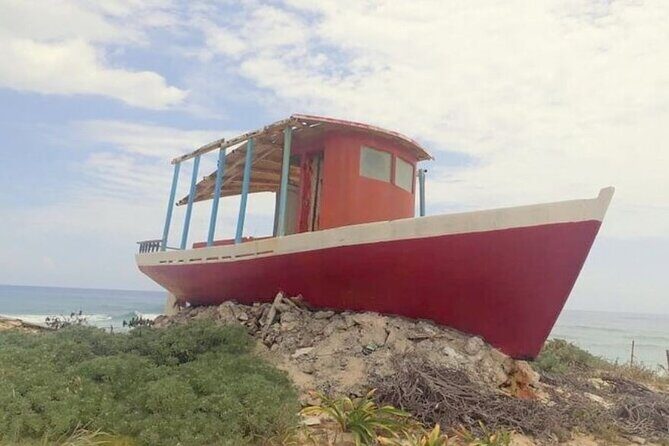 Private Tour Cozumel Buggy your way up to 4 People - What Does the Tour Include?