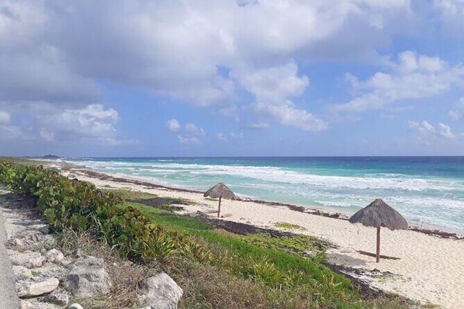 Private Tour Cozumel Buggy your way up to 4 People - Final Thoughts