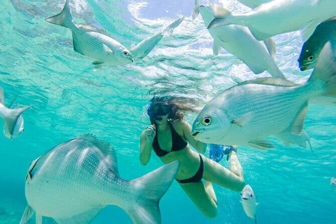 Private Tour Cozumel your way Jeep 4x4 up to 4 People - The Experience on the Ground