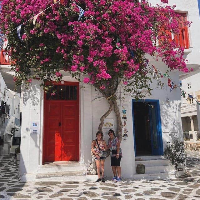 Private Tour: Customize Your Perfect Day in Mykonos - How the Tour Works in Practice