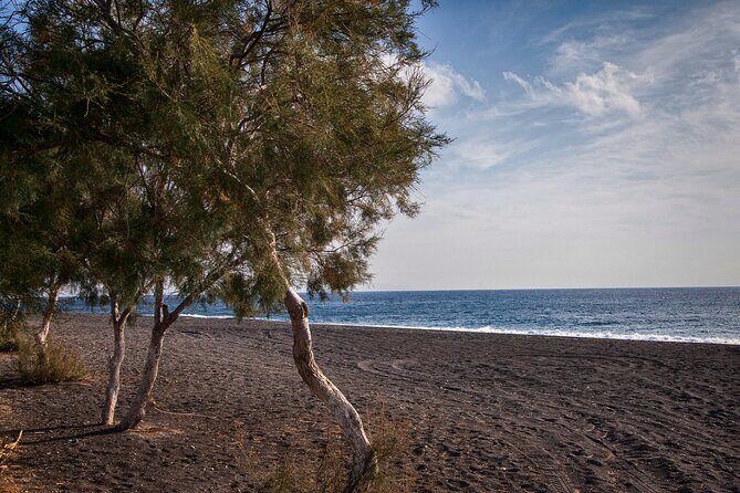 Private Tour: Discover South of Santorini - Who Is This Tour Best For?