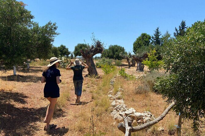 Private Tour: Discover the Secret World of Olives in Afantou - FAQs