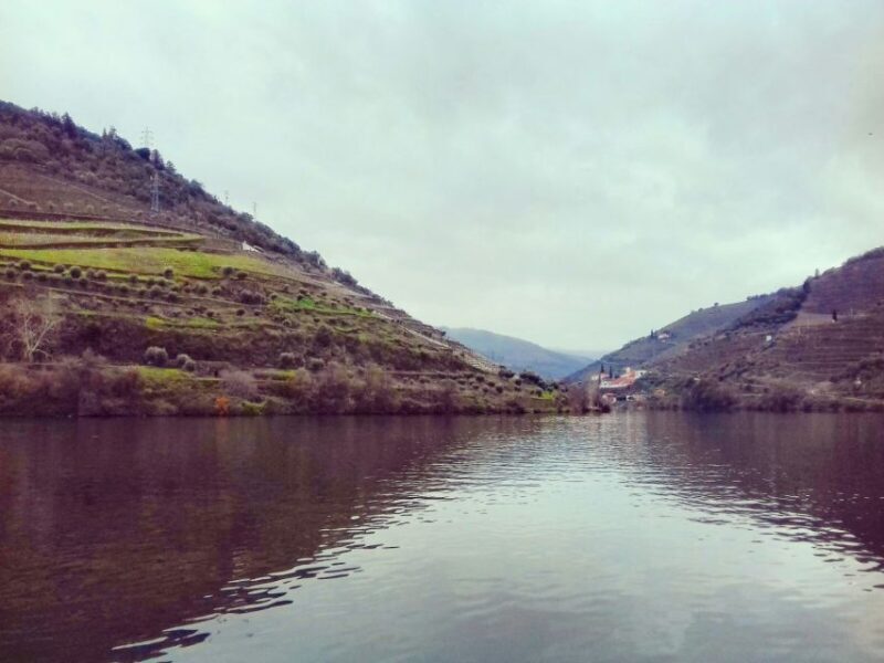 Private Tour: Douro Valley Wine and Food from Oporto - An Authentic, Flexible Day in the Douro Valley