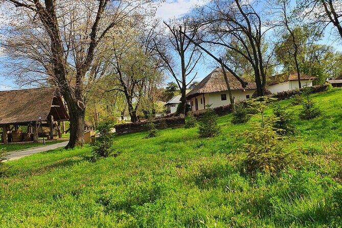 Private Tour Dracula Grave, Ceauescu Mansion and Village Museum - Cost and Value