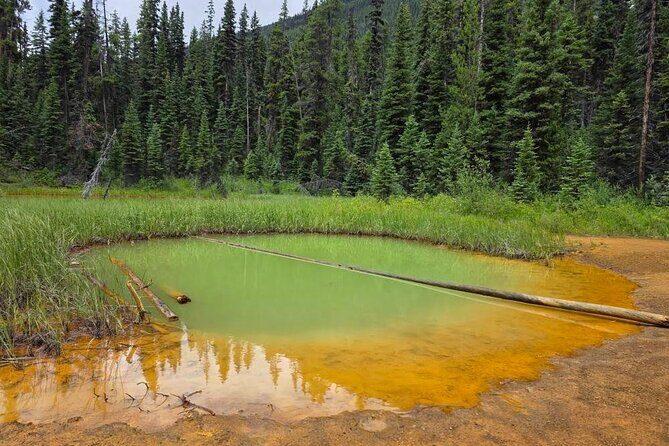 Private Tour Experience at Radium Hot Springs and Kootenay Park - Final Thoughts