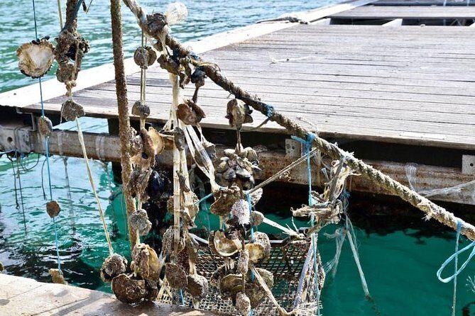 Private Tour Experience Dubrovnik North-West Countryside & Riviera - Discover Dubrovnik’s Hidden Gems: A Deep Dive into the North-West Countryside & Riviera Tour