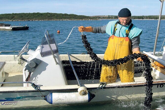 Private Tour Experience Dubrovnik North-West Countryside & Riviera - Who Will Love This Tour?