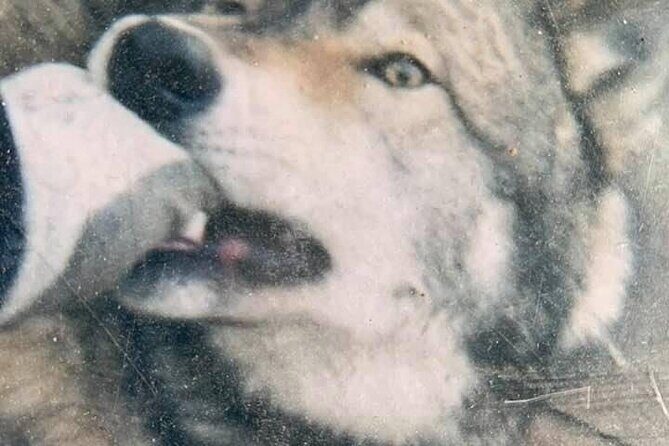 Private Tour: Famous MOVIES + MOUNTAINS Photo Safari Drive - 4hrs - FAQ