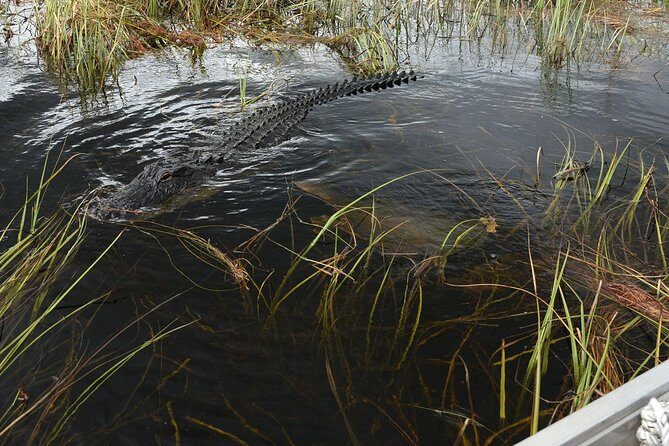 Private Tour: Florida Everglades Airboat Ride and Wildlife Adventure - Wrapping It Up: Is It Worth It?