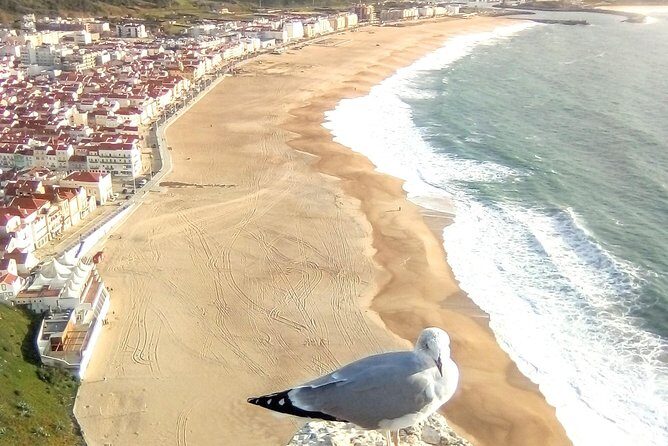 Private tour for 1 to 8 people: Fátima, Batalha, Nazaré and Óbidos - FAQs