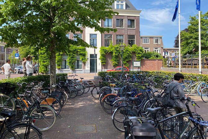Private Tour from Amsterdam: Historical Leiden - Practical Details and Considerations