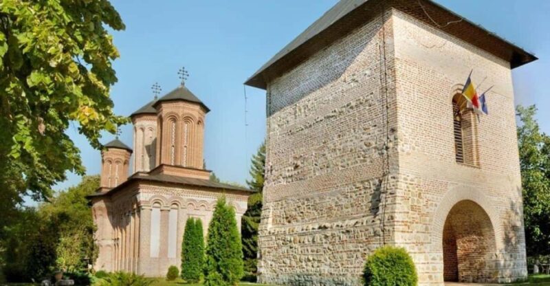 Private Tour from Bucharest to Dracula's tomb and Mogosoaia - Pricing and Value