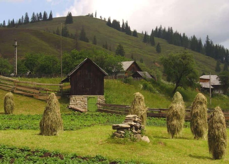 Private Tour from Bucharest to Painted Monasteries-UNESCO - Transport and Comfort