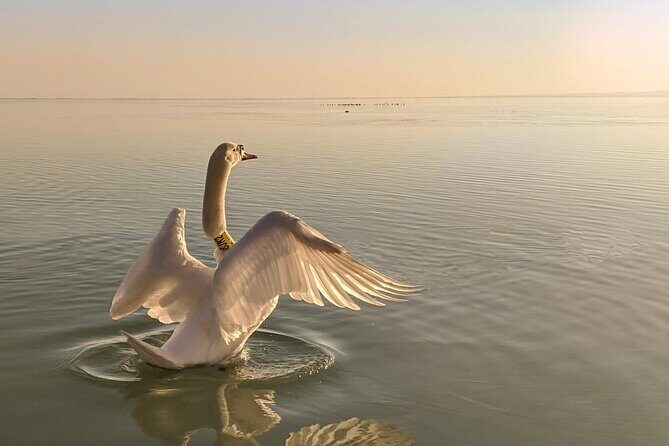 Private tour from Budapest to a top hidden treasure region of Europe: Lake Balaton - FAQ