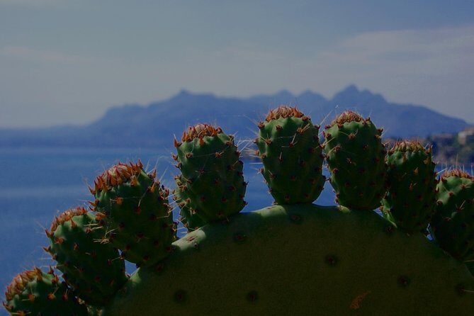 PRIVATE TOUR from Catania to Agrigento (Valley of Temple) and Piazza Armerina - Who Would Love This Tour?