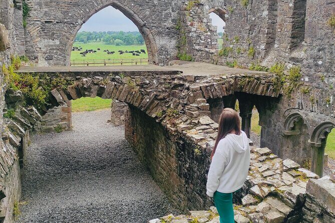 Private Tour from Dublin: Hill of Tara Trim Castle, Celtic sites - Why You’ll Love This Tour