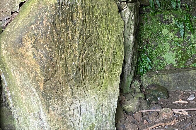 Private Tour from Dublin: Hill of Tara Trim Castle, Celtic sites - Frequently Asked Questions