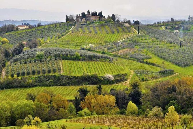 Private tour from Florence to Cortona and Arezzo - The Value of the Tour