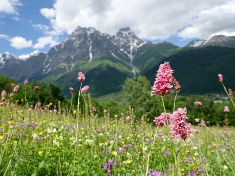 Private tour from KUTAISI: SVANETI and MESTIA - FAQ