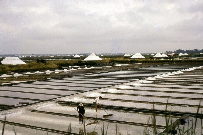 Private Tour: from Lisbon to Porto; visit to Óbidos, Fátima, Coimbra, Aveiro - The detailed itinerary