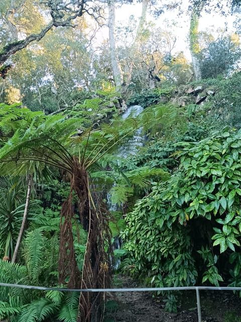 Private tour from Lisbon to Sintra, Pena palace, Regaleira - FAQ