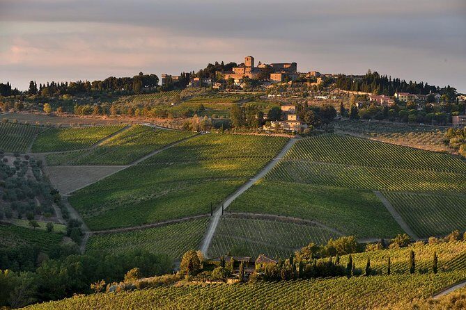 Private tour from Livorno port to Chianti Wine Region - Exploring the Private Tour from Livorno to Chianti Wine Region: A Practical Guide