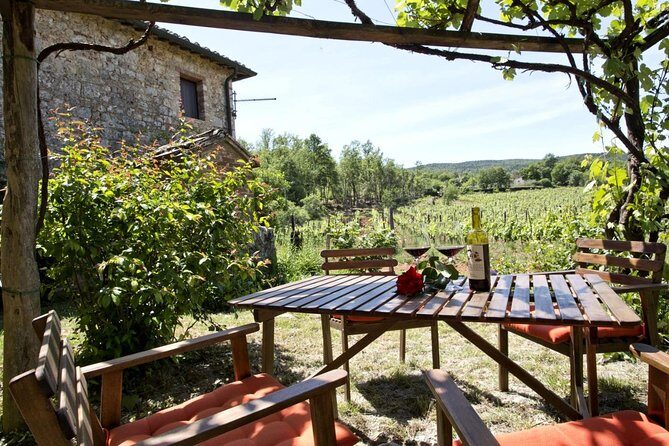 Private tour from Livorno port to Chianti Wine Region - A Balanced Look at the Experience